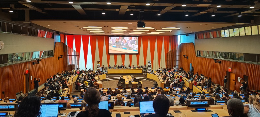 ECOSOC Chamber meeting in New York