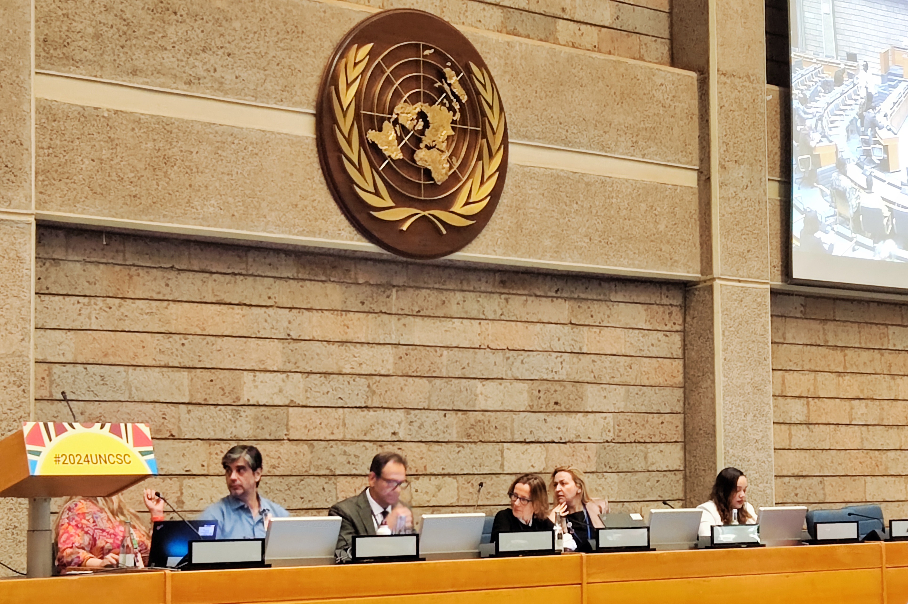 NGO networking at UN event